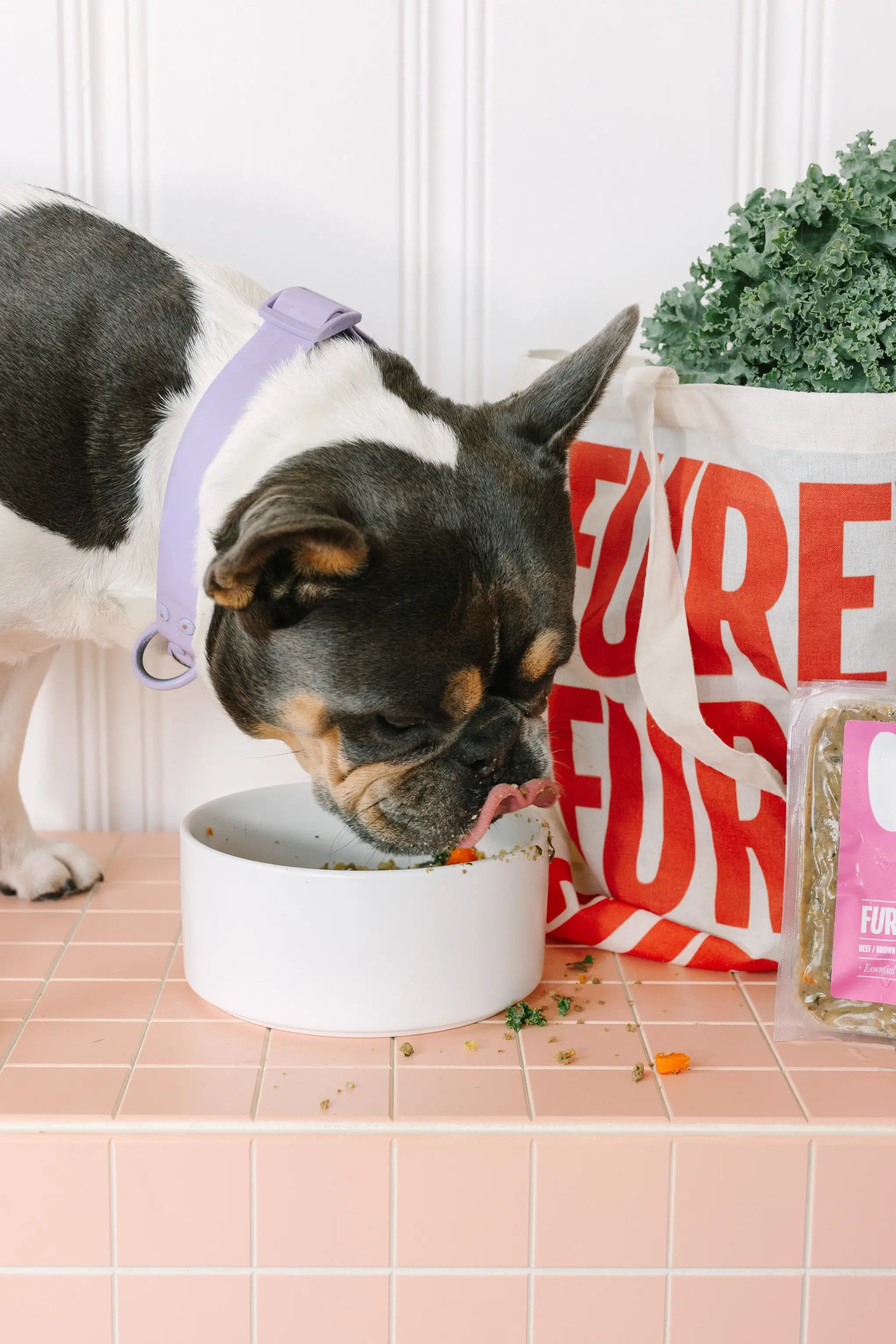 Dog eating from a bowl with a 'Furever' bag and pet food packaging in the background.