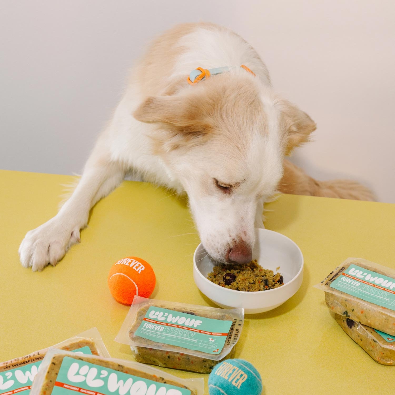 Dog eating from a bowl with 'LIL'WOuF' pet food packages and toys on a yellow surface.