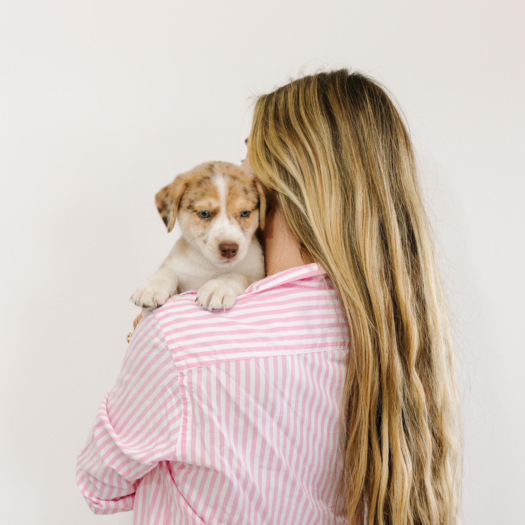 Woman holding a small puppy on a white background