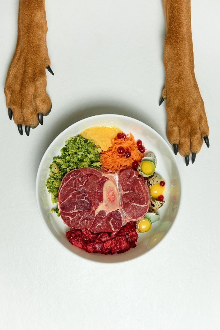 Dog paws framing a bowl of raw dog food with fresh beef, organ meat, broccoli, carrots, cranberries, quail eggs, and supplements, representing a healthy balanced raw diet for dogs.