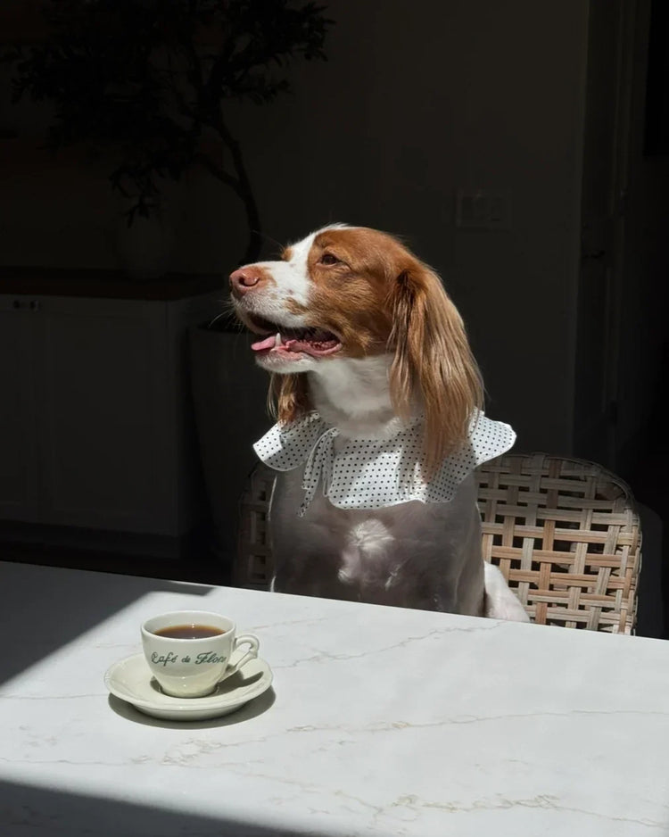 Adorable brown and white dog dressed in a polka dot collar sitting at a marble café table with a cup of coffee in a “Café de Flore” cup, sunlight streaming through the window in a cozy Parisian-inspired setting.