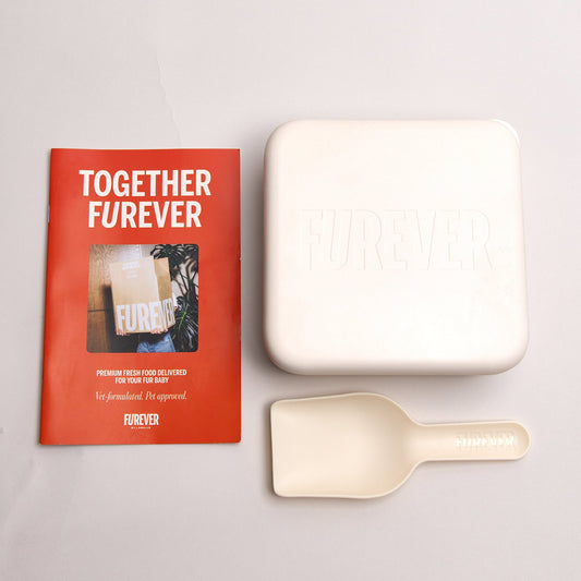 A Forever brand meal replacement set on a light gray background, featuring a red book titled 'TOGETHER FUREVER', a square off-white container embossed with 'FUREVER', and an off-white scoop with the brand name 'forever' printed on the handle.
