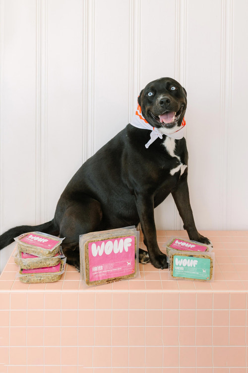 Black dog sitting on a pink surface with 'WOOF' pet food packages around it.