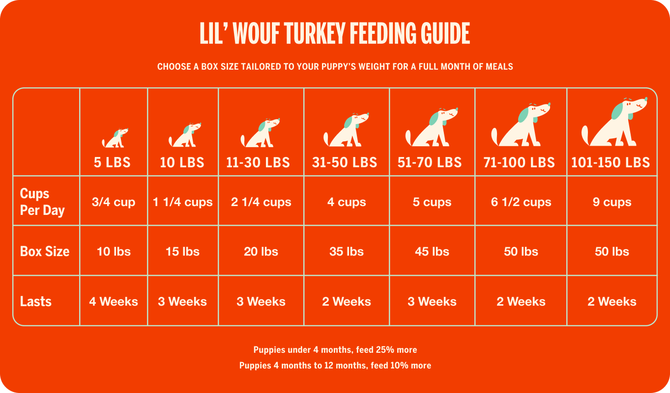 Lil' Wouf Turkey