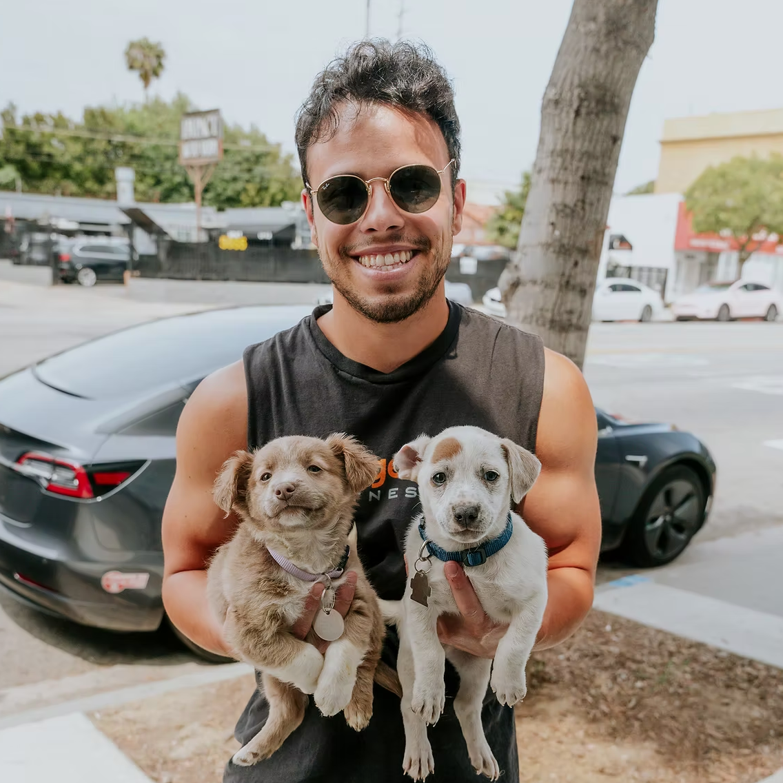 Man holding two puppies in a parking lot with cars and trees in the background